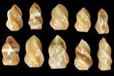 Lot: - Polished, Brown Calcite Flames - Pieces #133861-1